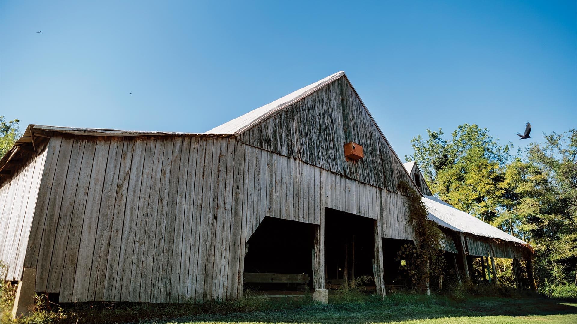 tobacco barn with blue sky above
