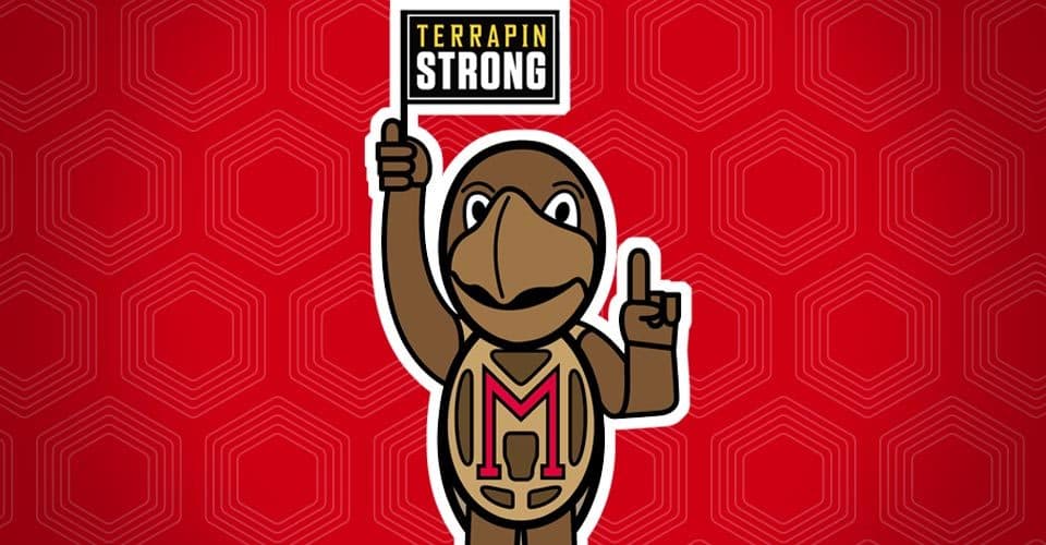 Illustration of Testudo with Terrapin Strong flag