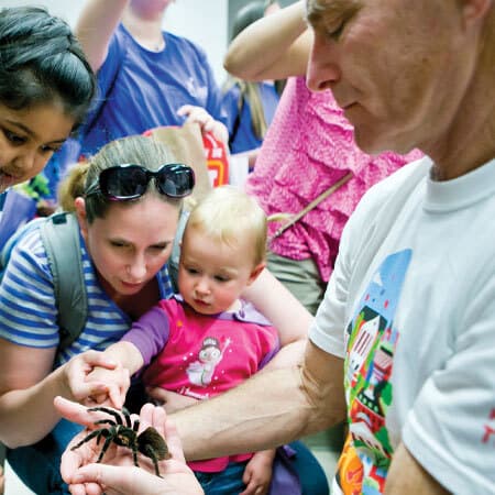 man holds tarantula while children and woman watch
