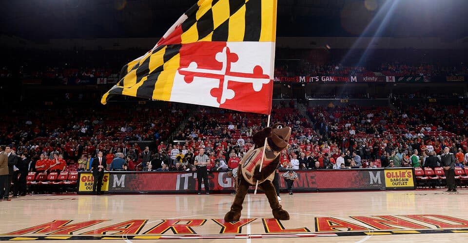 Testudo waving Maryland flag on basketball court