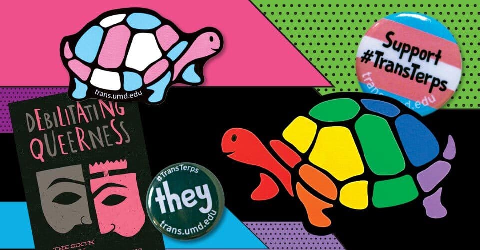 Collage of turtle stickers in transgender and pride flag colors, a Support #TransTerps button, a #TransTerps they pronoun button, and a "Debilitating Queerness" program