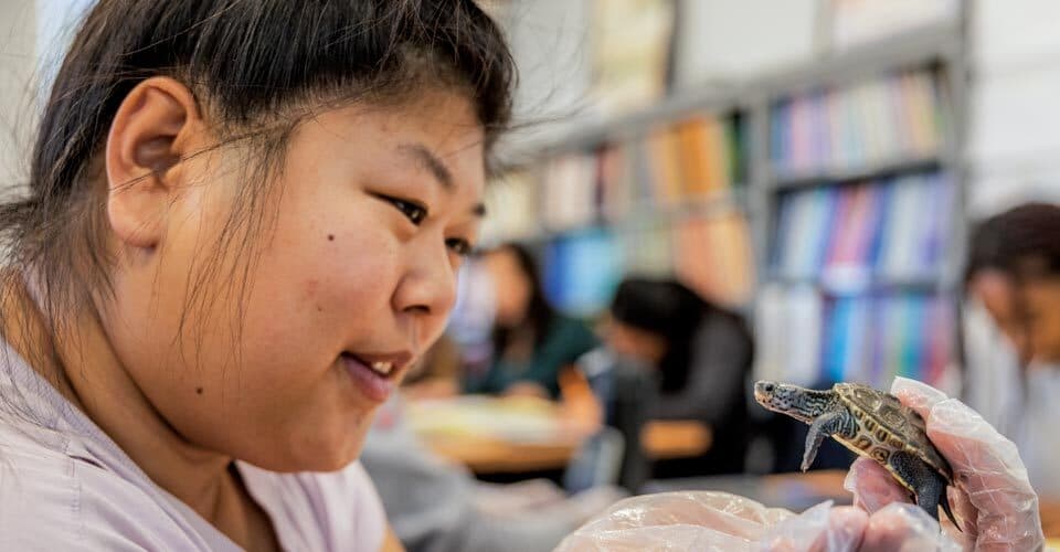 student holds tiny turtle