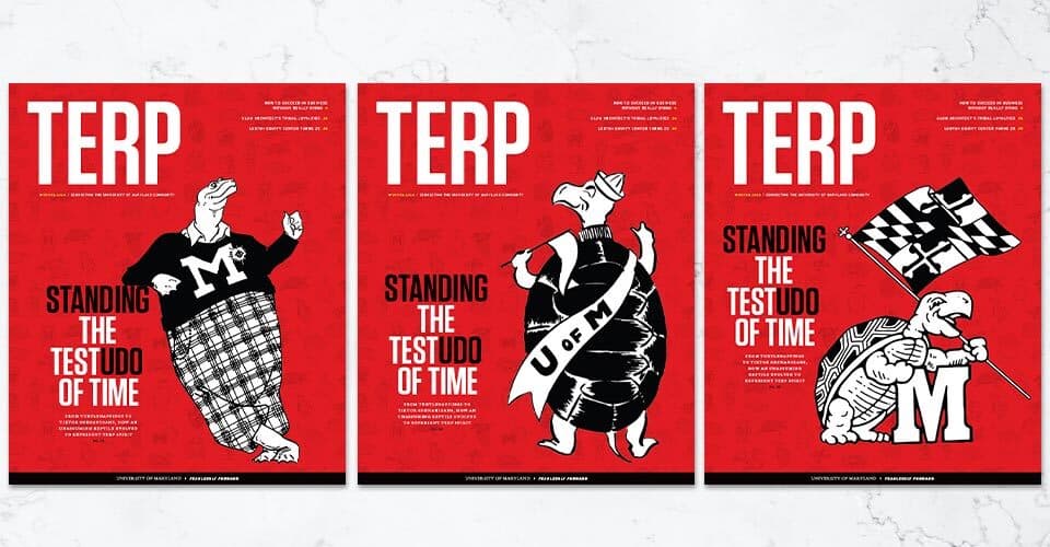 three Testudo covers