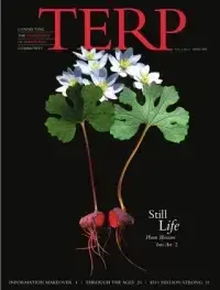 cover image for Spring 2008